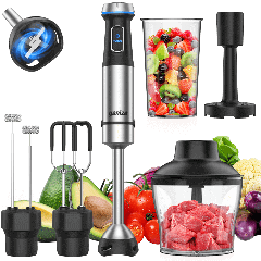 Ganiza Immersion Blender, 6-in-1 Hand Blender with Stainless Steel Blade