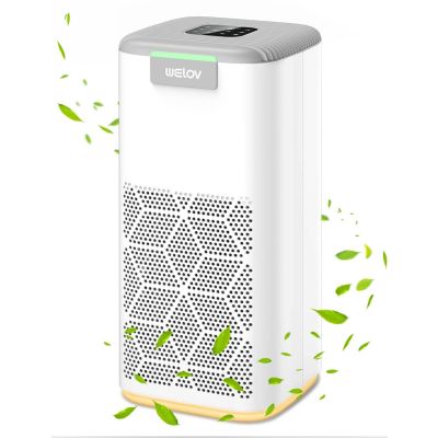 AiDot WELOV P200S/P200 PRO(WIFI)  Air Purifier for Home with 3-Stage Filtration System