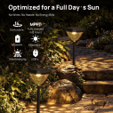 Linkind SP6C Smart Solar Pathway Lights 16