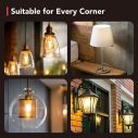 OREiN Smart Edison Light Bulbs with Smart Button - 6 Packs 7