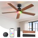 Linkind Matter 52" Smart Ceiling Fan 1