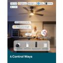 Linkind Matter 52" Smart Ceiling Fan 7