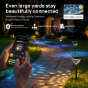 Linkind SP6 Smart Solar Pathway Lights ,Engineered for Long-Term Outdoor Performance 4