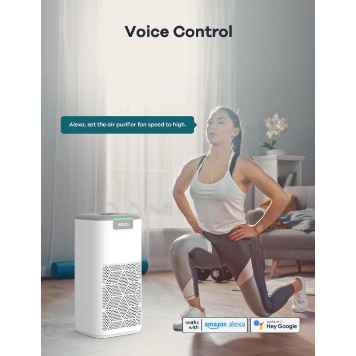 AiDot WELOV P100 H13 True HEPA Air Purifier for Bedroom 5