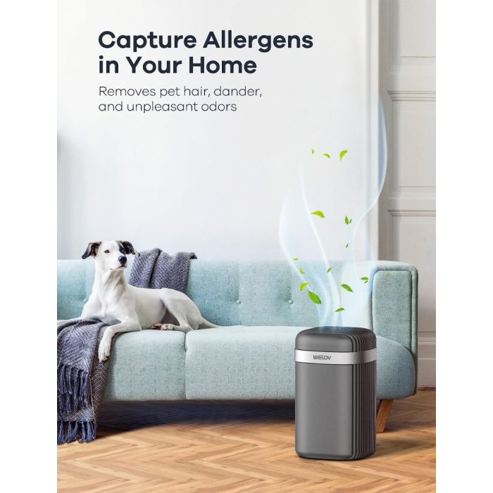 AiDot WELOV P100 H13 True HEPA Air Purifier for Bedroom 12