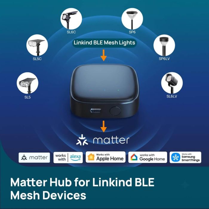 Linkind Matter Smart Hub 2 2