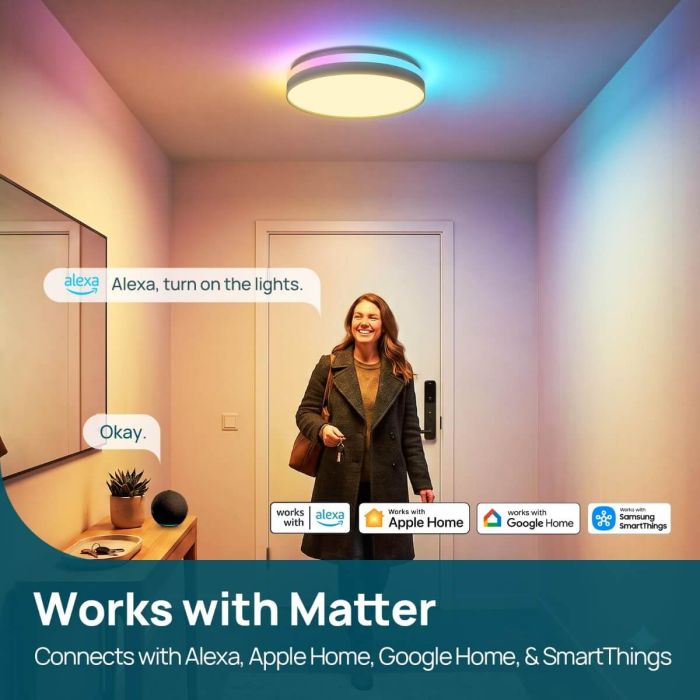 Linkind Matter Smart Ceiling Light ColorBlend 12 Inch LC5 3