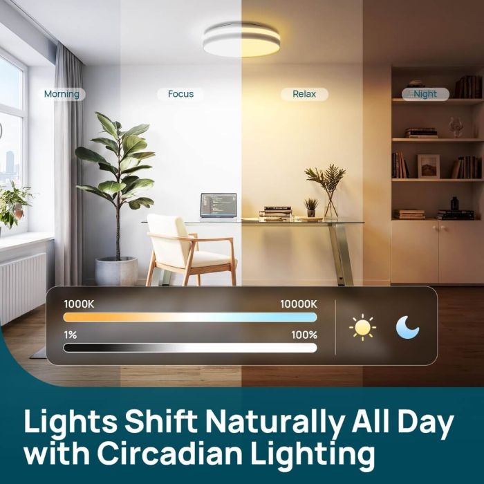 Linkind Matter Smart Ceiling Light ColorBlend 12 Inch LC5 5