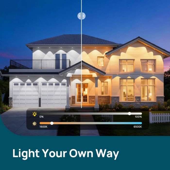 Linkind Permanent Outdoor Lights Dual Optics HP6 200ft 8