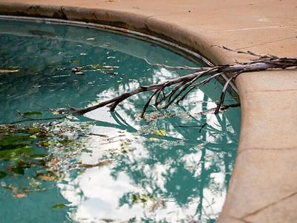 debris in swimming pool