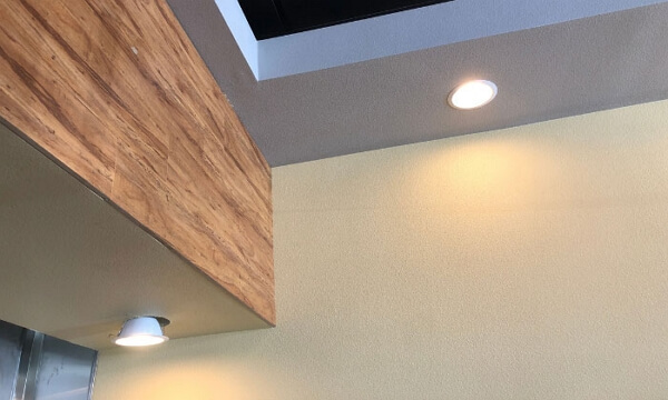 canless recessed lighting