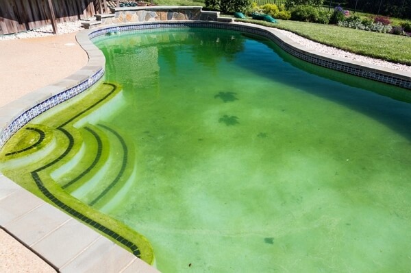 how to clean a green pool