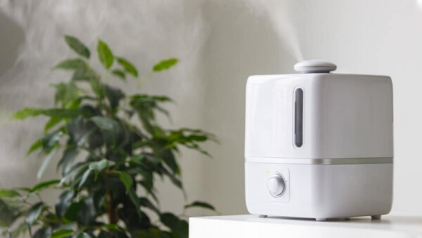 A Comprehensive Guide on Where to Put Humidifier