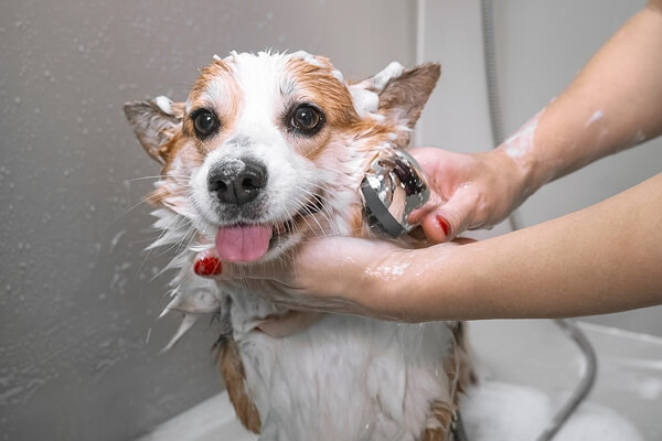 bathing