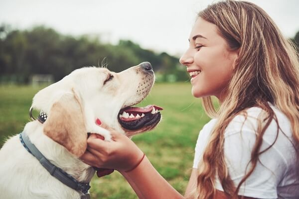 bonding between you and your dog