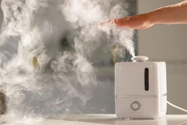 cool mist humidifier