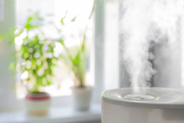 Where To Put a Humidifier (Living Room, Bedroom)