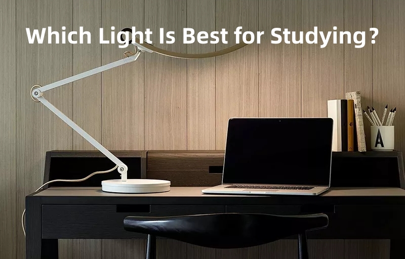 which light is best for studying