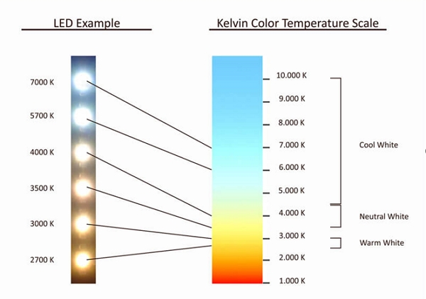 Led light online color for focus