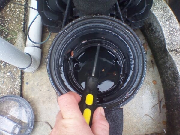 clean clogged pool pump impeller
