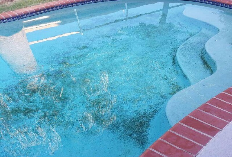 how to remove algae from pool without a vacuum