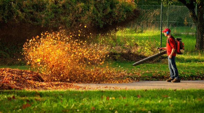 leaf blower buying guide