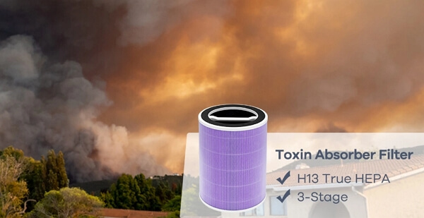 smoke absorption filter